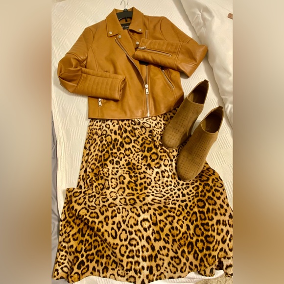 Womens Bagatelle moto jacket - Picture 11 of 12